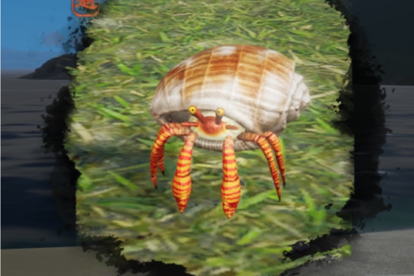 剑网3换房记宠物奇遇完成流程一览