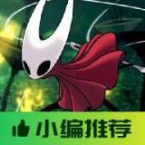 空洞骑士丝之歌直装版