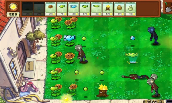 植物大战僵尸拼接版截图4