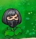 植物大战僵尸三角州版