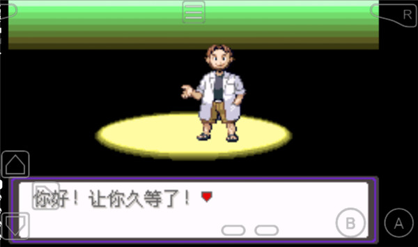 口袋妖怪漆黑的魅影EXBW截图2