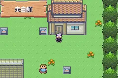 口袋妖怪漆黑的魅影EXBW