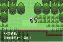 口袋妖怪漆黑的魅影EXBW