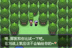 口袋妖怪漆黑的魅影EXBW