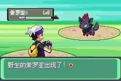 口袋妖怪漆黑的魅影EXBW