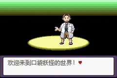 口袋妖怪漆黑的魅影EXBW