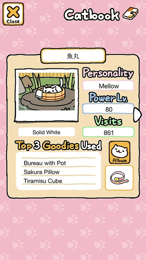猫咪后院2