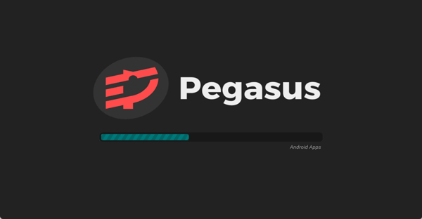 Pegasus模拟器截图1