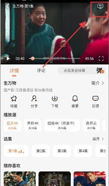 追番达人
