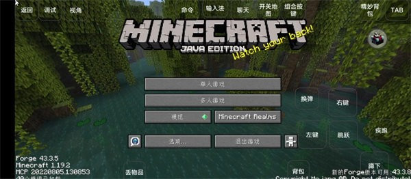 我的世界雾中人生存