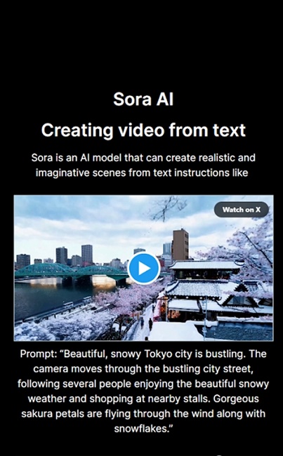 soraopenai截图2