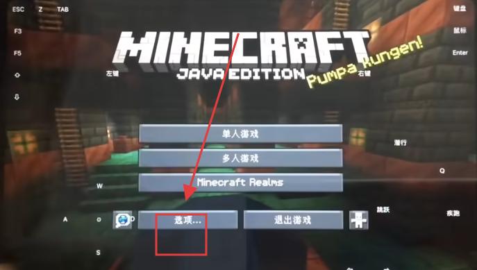 amethyst启动器