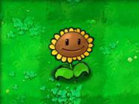 植物大战僵尸北美版