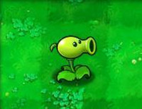 植物大战僵尸北美版