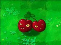 植物大战僵尸北美版