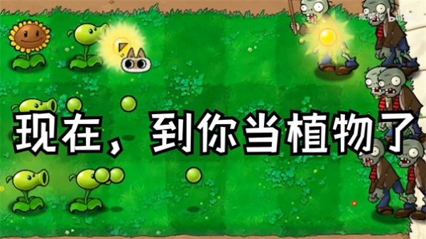 植物大战僵尸繁琐版截图3