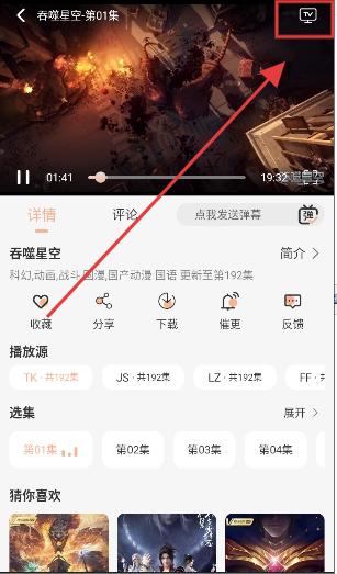 猫放时光