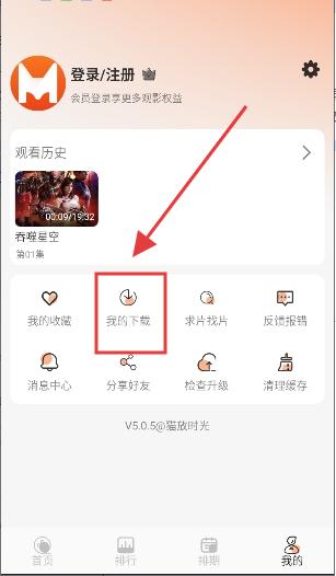 猫放时光