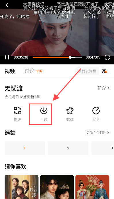 小狐狸追剧
