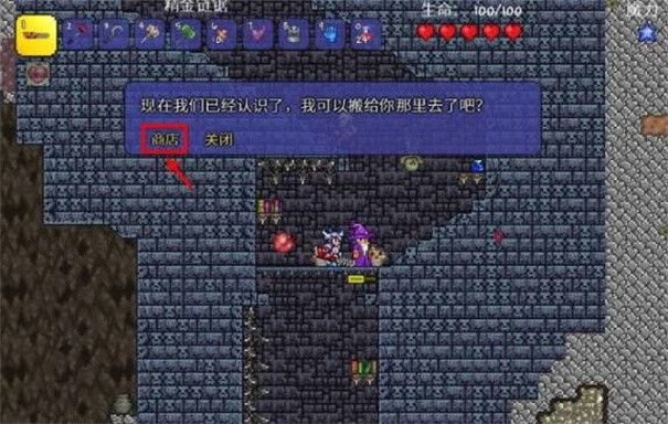 泰拉瑞亚1.4.4.9汉化版