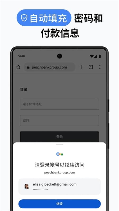 谷歌浏览器截图2