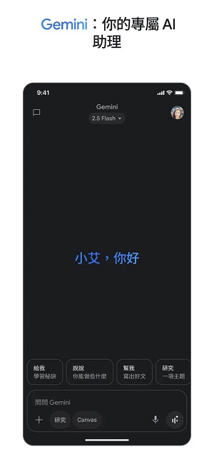google gemini