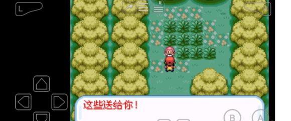 口袋妖怪融合维度