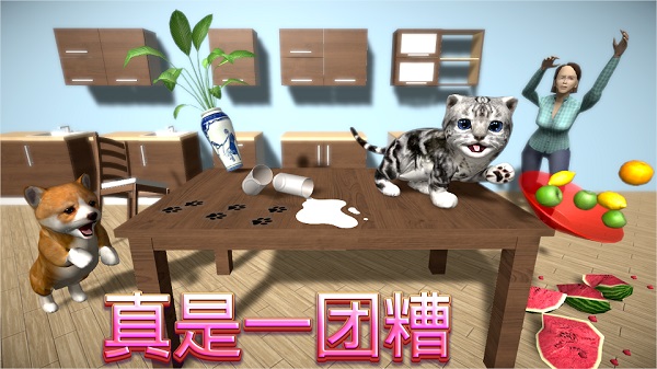 猫咪模拟器截图1