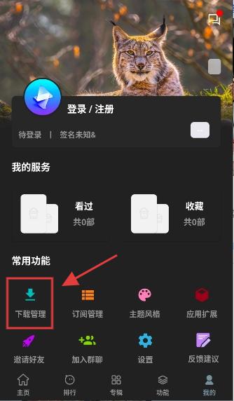 聚合影视