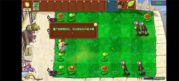 植物大战僵尸新指导版