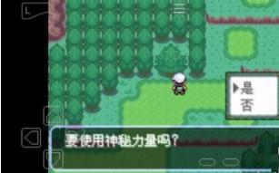 口袋妖怪刽曜之影