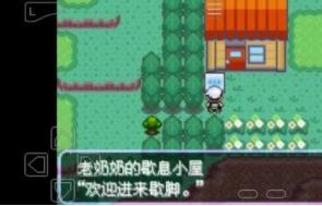 口袋妖怪刽曜之影