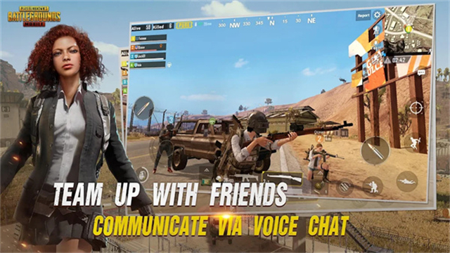 BETAPUBGMOBILE截图1