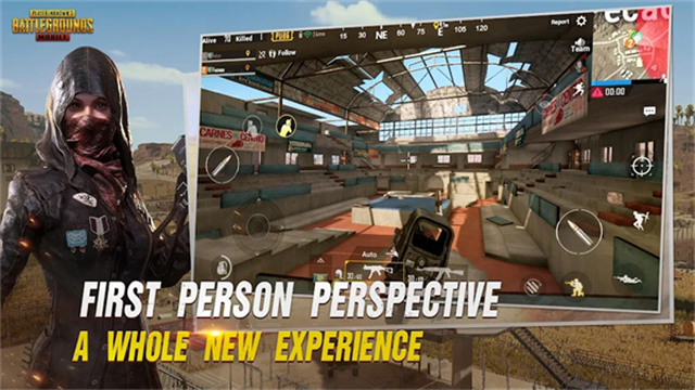 BETAPUBGMOBILE截图2