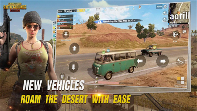 BETAPUBGMOBILE截图4