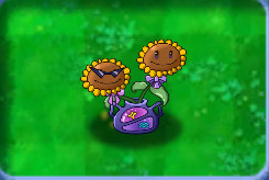 植物大战僵尸星座版