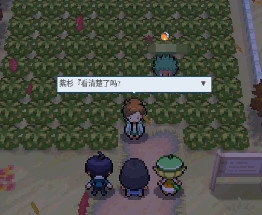 PokeMMO