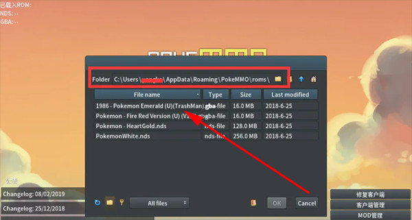 PokeMMO