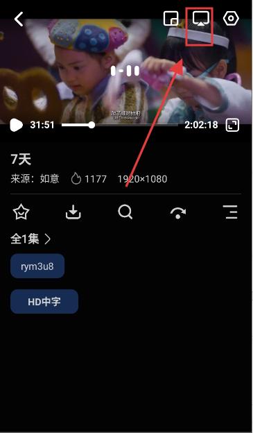 鲨鱼剧场
