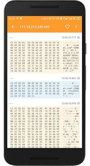 HttpCanary截图1