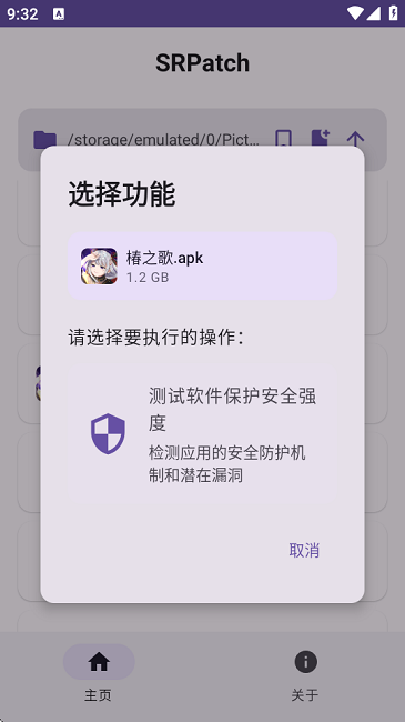 SRPatch截图2