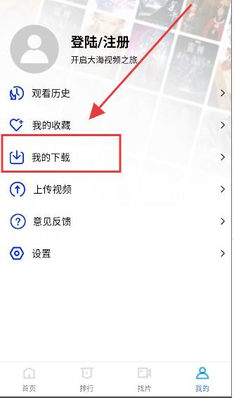 大海视频