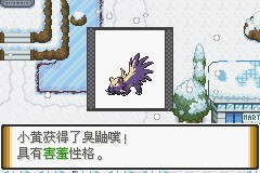 口袋妖怪解放
