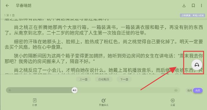 黑猫小说