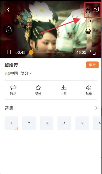 白天鹅