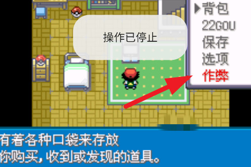口袋妖怪圣灰汉化版