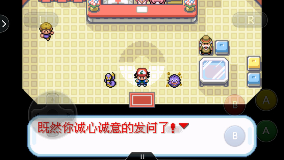 口袋妖怪圣灰汉化版