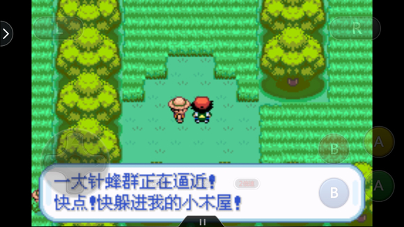 口袋妖怪圣灰汉化版