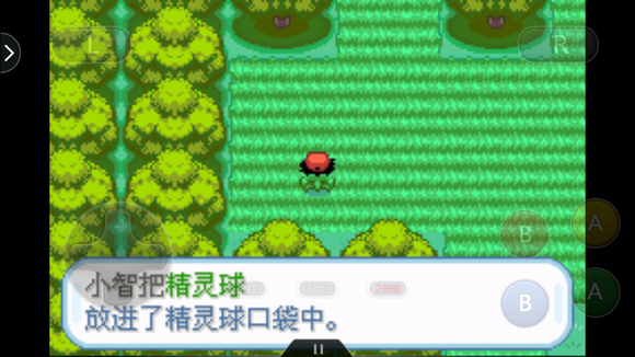 口袋妖怪圣灰汉化版