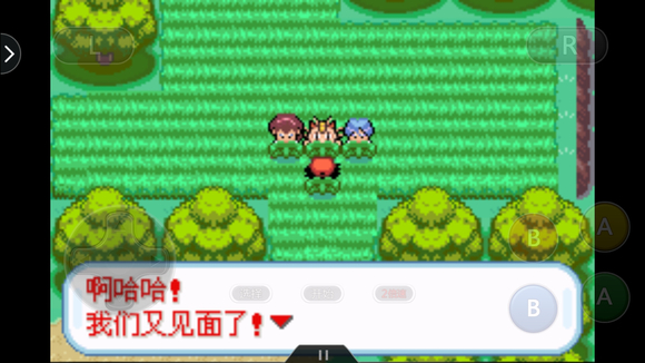 口袋妖怪圣灰汉化版